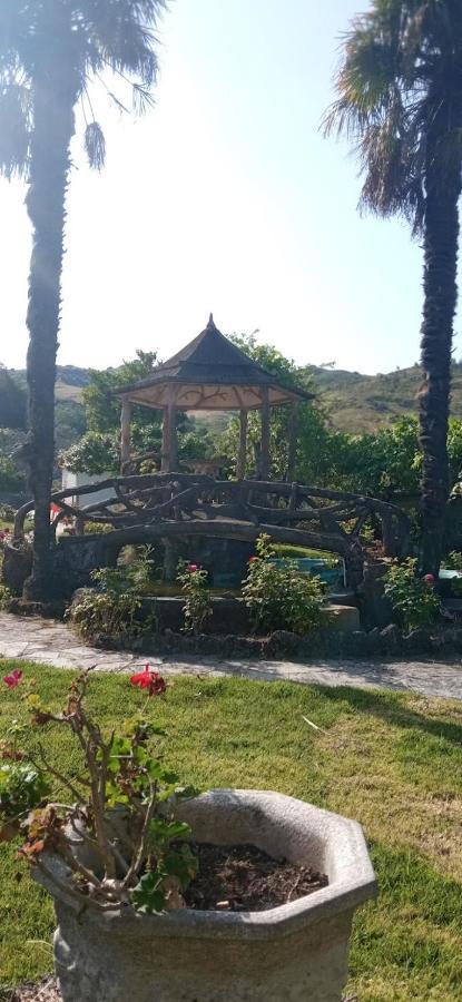 Casas Do Sameiro Vieira do Minho Εξωτερικό φωτογραφία